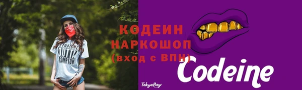 гидропоника Горнозаводск