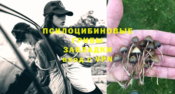 гидропоника Горнозаводск