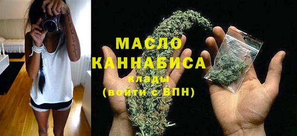 гидропоника Горнозаводск