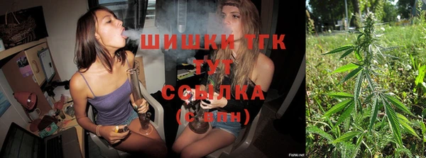 Альфа ПВП Горняк