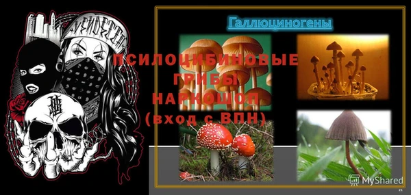 гидропоника Горнозаводск