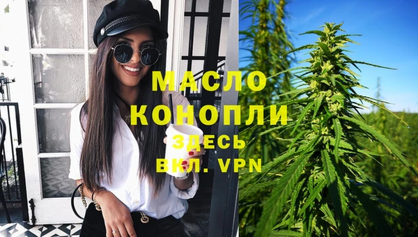 Альфа ПВП Горняк