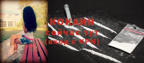 Альфа ПВП Горняк
