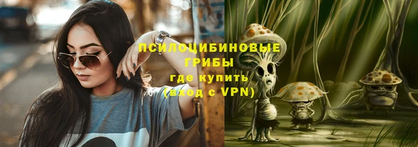 Альфа ПВП Горняк