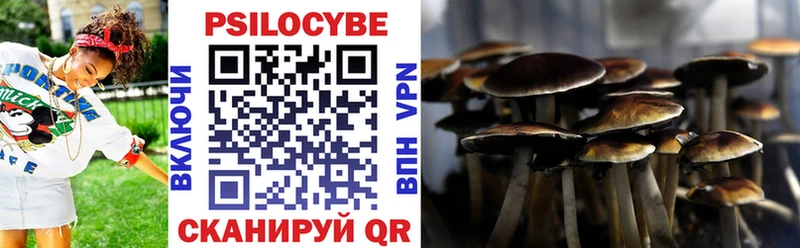 Псилоцибиновые грибы Cubensis  Купить закладки  Плавск 